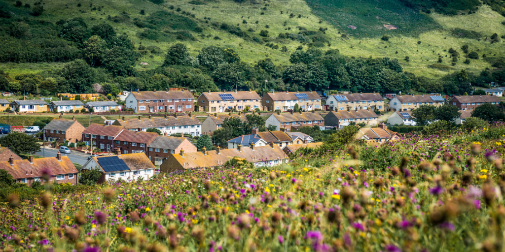 Residential homes surrounded by greenery and hedges, with purple flowers in the foreground and solar panels visible on some rooftops.